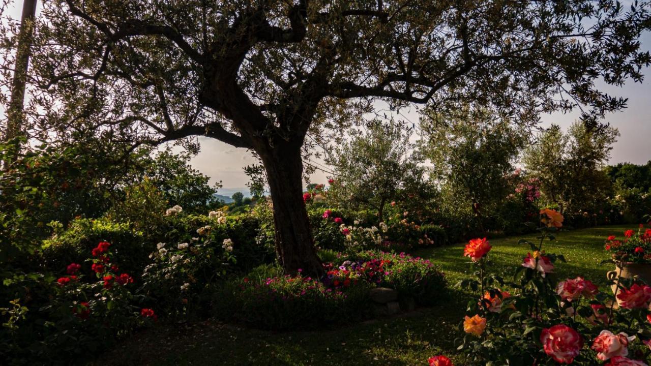 Il Casale Di Fiore Cannara Bagian luar foto