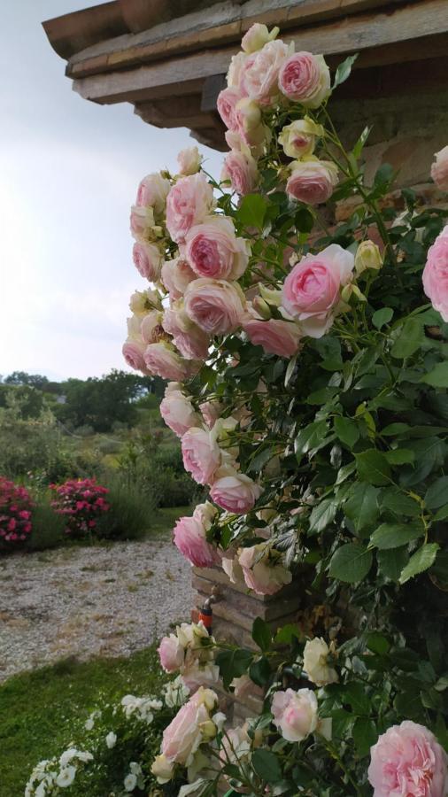 Il Casale Di Fiore Cannara Bagian luar foto