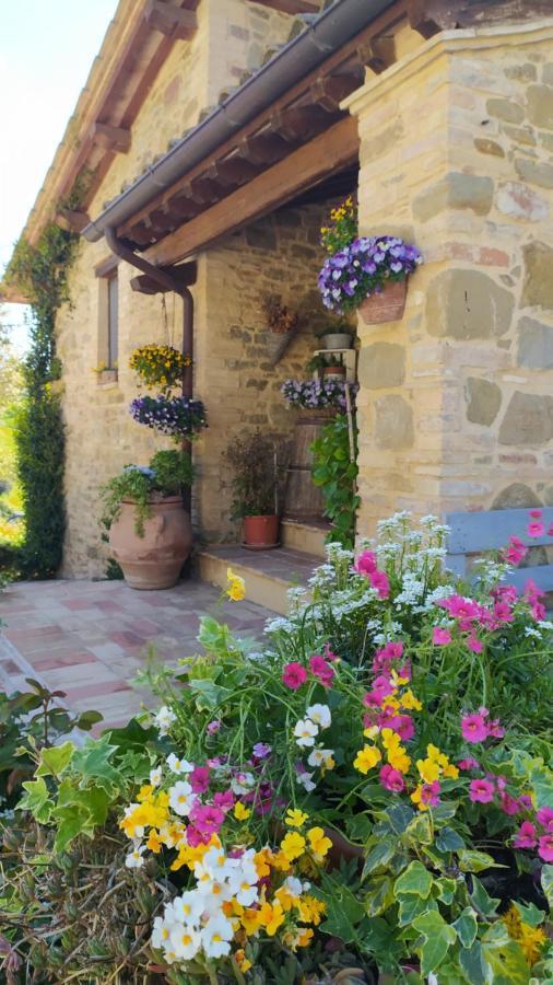 Il Casale Di Fiore Cannara Bagian luar foto