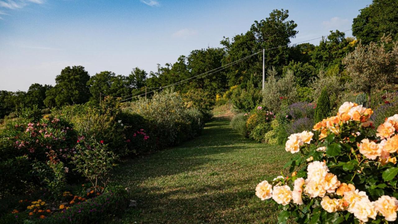 Il Casale Di Fiore Cannara Bagian luar foto