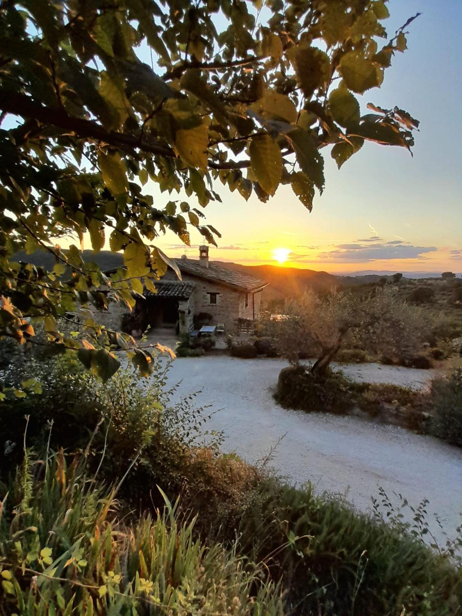 Il Casale Di Fiore Cannara Bagian luar foto