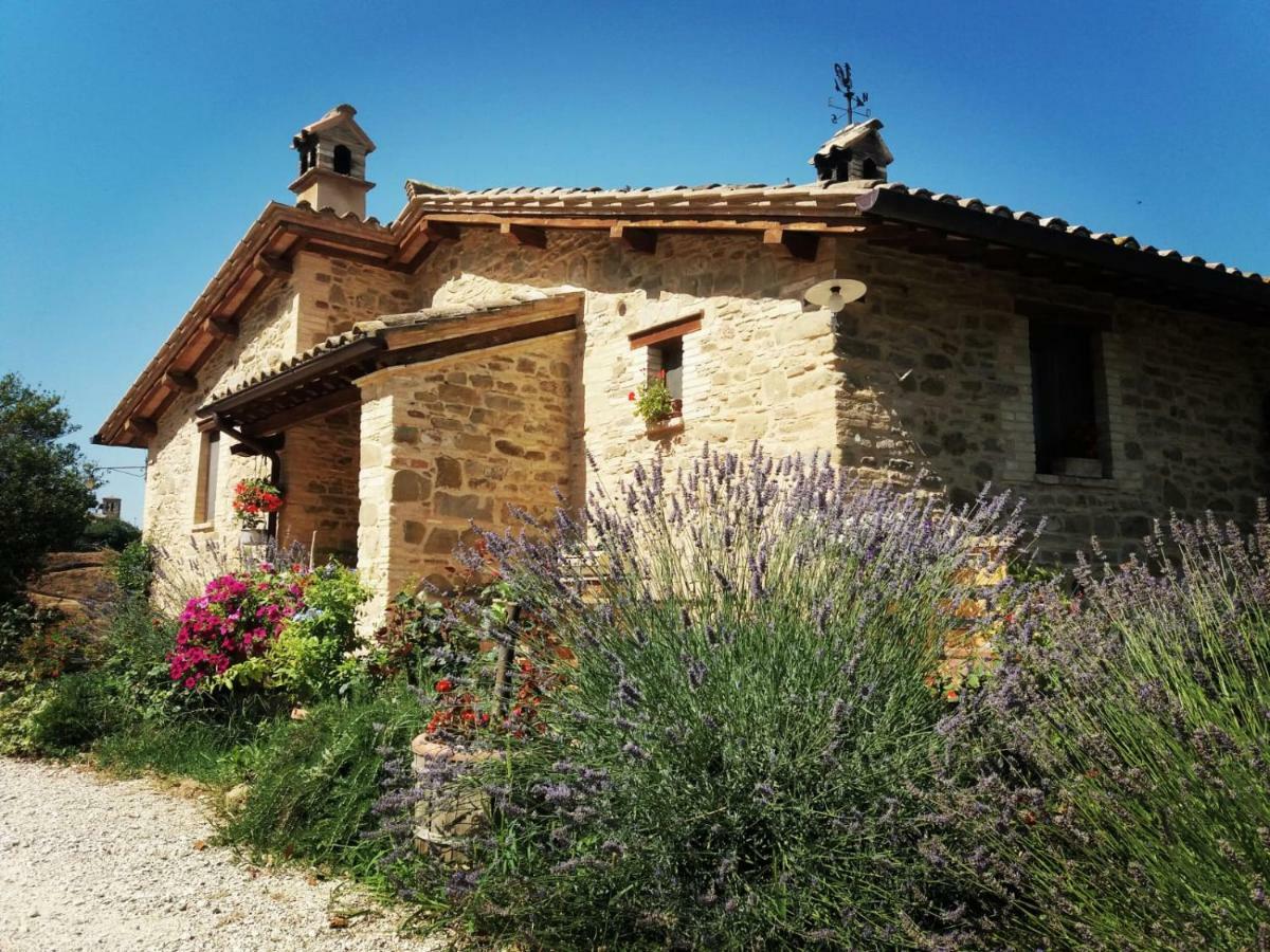 Il Casale Di Fiore Cannara Bagian luar foto